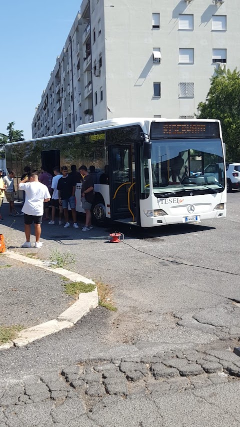 Tesei Bus S.r.l.