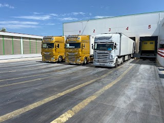 TESTINO TRASPORTI E LOGISTICA S.R.L.