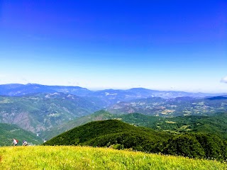 Monte Carevolo