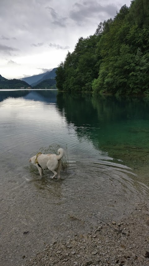 Ledro House Appartamenti Vacanza