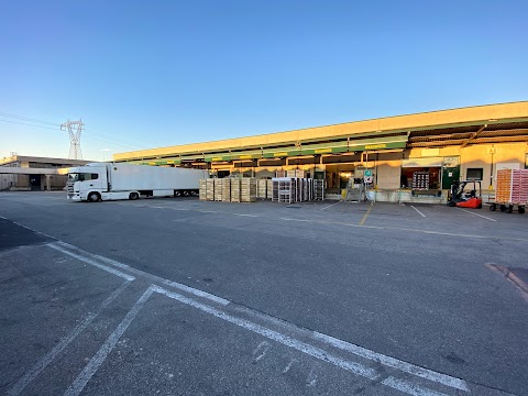 Mercado Padova