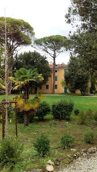 Liceo Classico “Dante Alighieri”