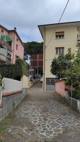 Liceo Scientifico Statale Coluccio Salutati