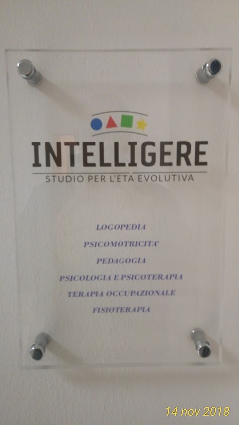 Intelligere - Studio per l'età evolutiva