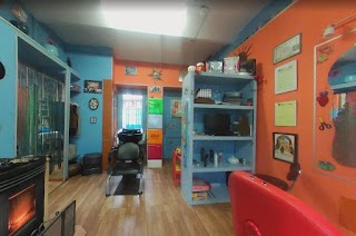 Miki Saloon villardora