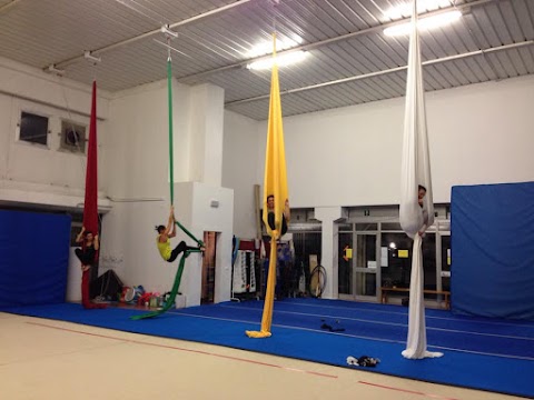 Gymnastx asd