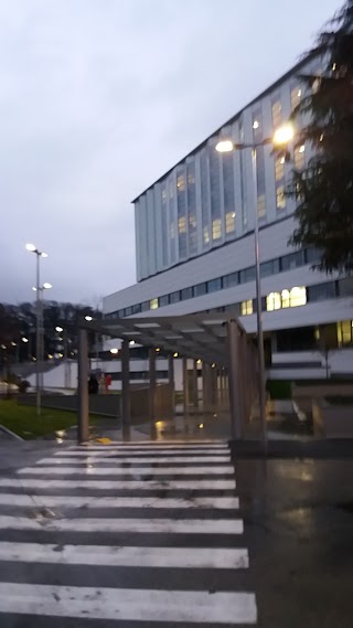 Ospedale Borgo Roma - Ginecologia