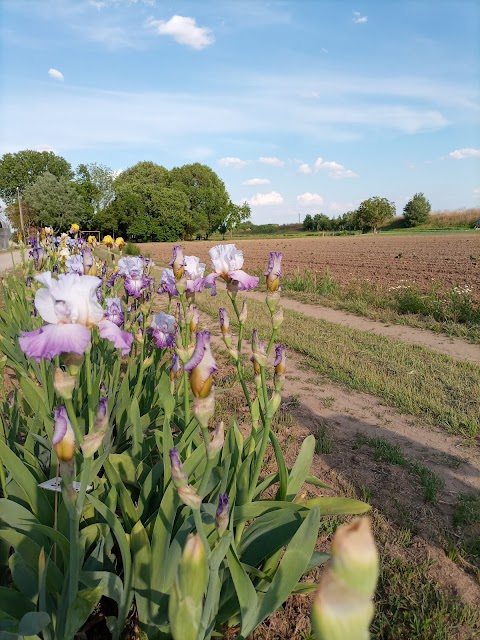 Societa' Cooperativa Agricola Ca' Magre