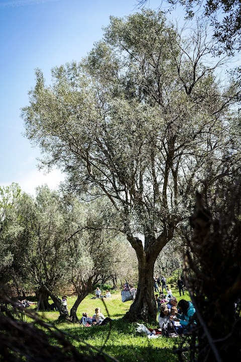 parco pubblico della legnara