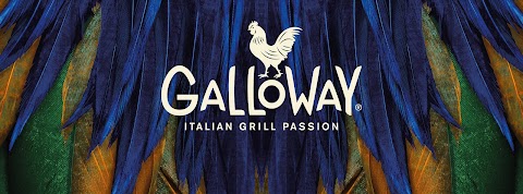 Galloway Treviso