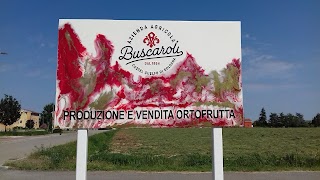 Vendita Diretta Ortofrutta Buscaroli