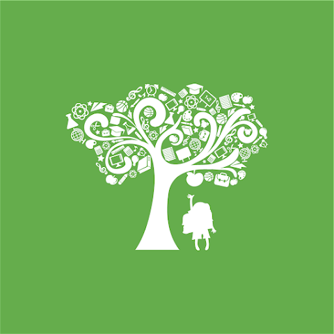 The Giving Tree | Asilo nido bilingue a Roma Quartiere Trieste