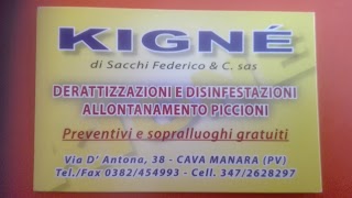 Kigne' Di Sacchi Federico