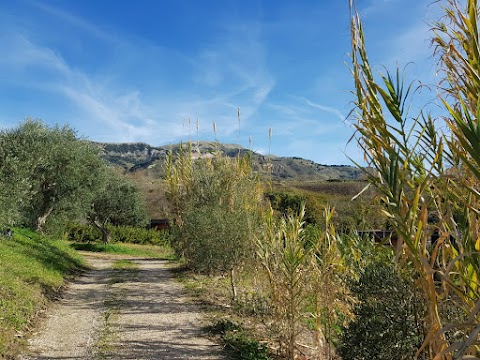 Il Bevaio di Corleone