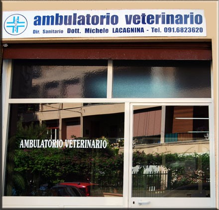 Ambulatorio Veterinario Dott Michele Lacagnina