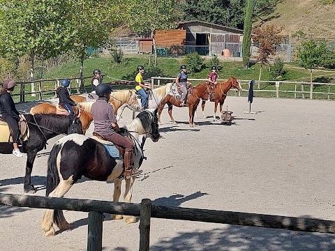 Centro Equestre Trekking Horse
