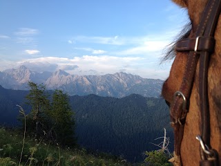 Horse Trekking Dolomiti & Alto Garda