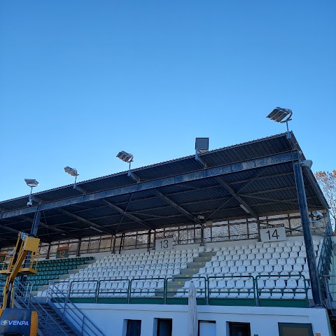 Stadio Pier Luigi Penzo