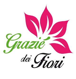 Piante e fiori Cito Giuseppe