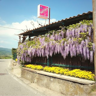 Trattoria La Madonnina