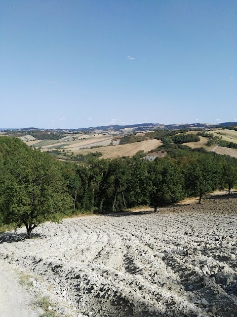 Parco Di Roncolo - volare