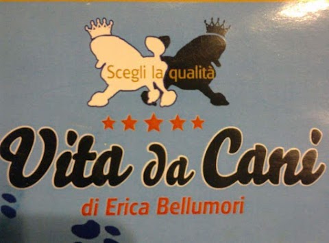 Pet empire (vita da cani)