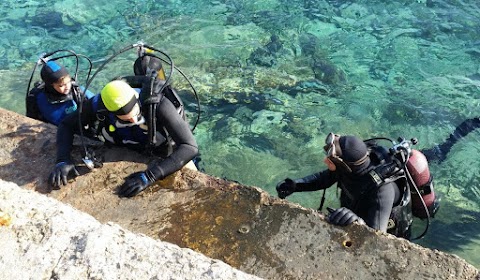 Scuola Sub e Corsi Sub con rilascio brevetti Internazionali Cmas presso la piscina albatros