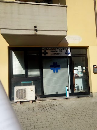 Ambulatorio Veterinario Montalese