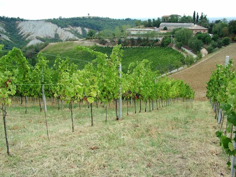 Agriturismo Malcantone Guidotti