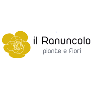 Il Ranuncolo Piante e Fiori