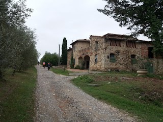 Montignana Apartments