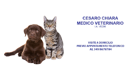 Veterinario a Domicilio - Cesaro Chiara