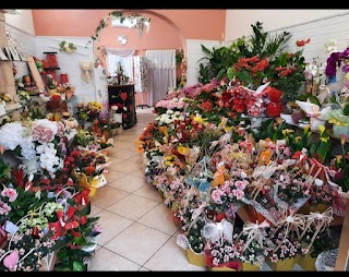 Sinfonia Di Fiori