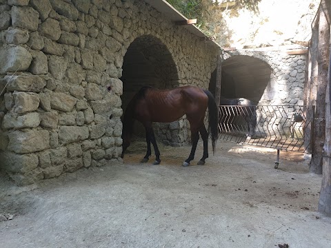 Associazione sportiva Cavallo e uomo un'anima sola