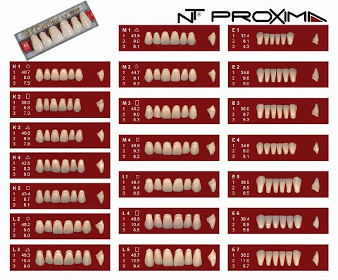 Forniture Dentali - Dental Marsica