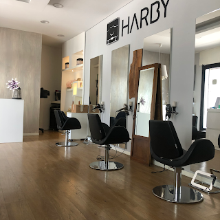 HARBY Parrucchiere Il Primo Assistente Di Bellezza a Melegnano