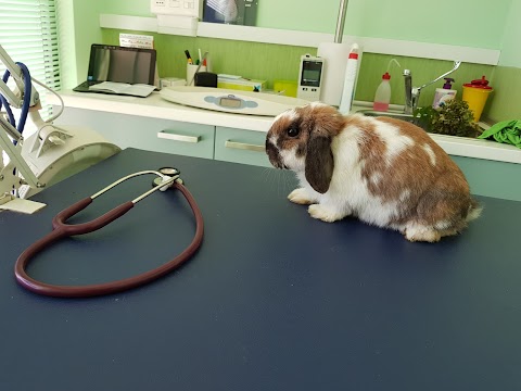 Centro Veterinario Per Animali Esotici