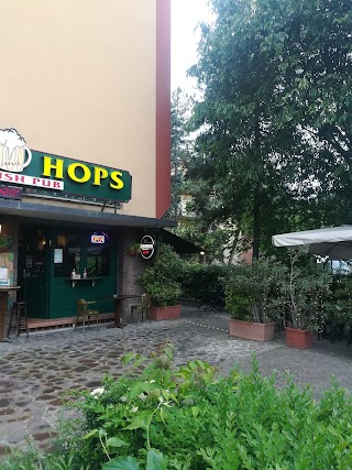 Malt&Hops Pub Bologna