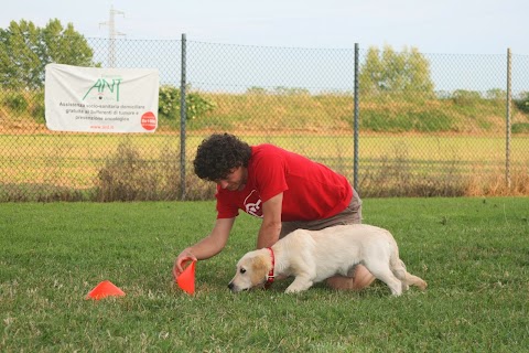 Passion for Dogs - Centro Cinofilo