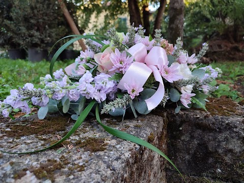 Piante e Fiori Fabbri Viola