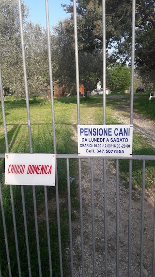 Pensione Cani e Gatti San Martino di Porres