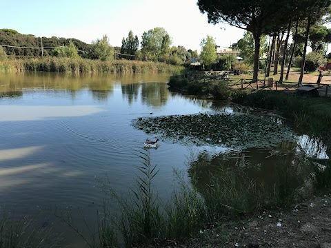 Parco del Canale dello Stagno