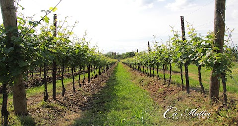 CàMattei Agriturismo