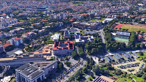 Università degli Studi di Catania - Dipartimento di Matematica e Informatica