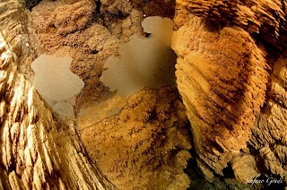 Grotta Giusti Diving