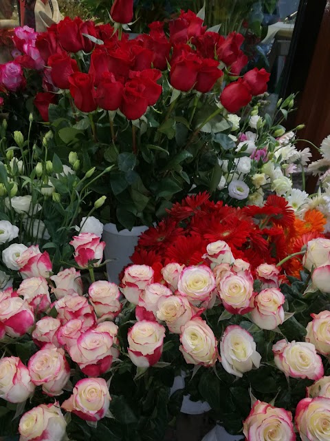 Chiosco Fiori Nencini di Corradossi Grazia