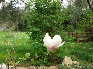 Poggio alla Scaglia Casa Vacanze