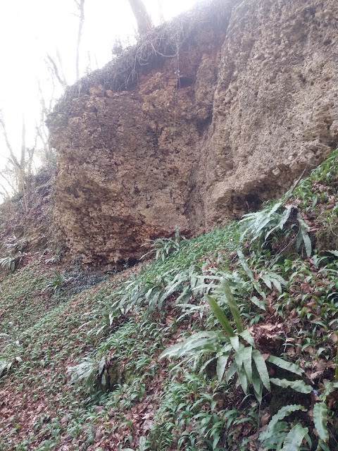 Grotta Buco Inferiore di Bosco Brusa