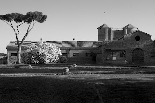 Tenuta La Castelluccia Agricola Giansanti Di Muzio