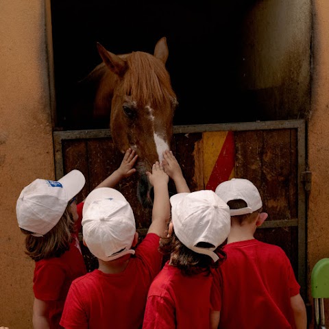 Centro servizi alla famiglia - Insieme per Fare